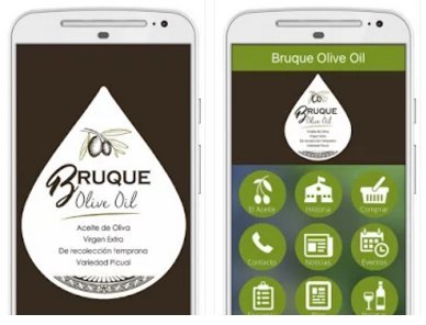 Bruque Olive Oil